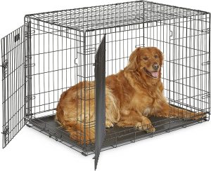 MidWest Homes for Pets Newly Enhanced  Double Door iCrate Dog Crate