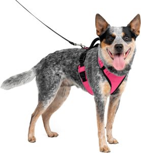 PetSafe EasySport Dog Harness