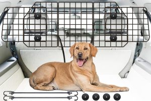 Gtongoko Dog Car Barriers for SUVs, Vehicles, Cars, & Trucks