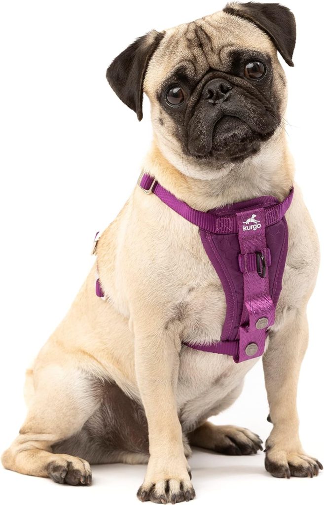 Kurgo Tru-Fit Enhanced Strength Dog Harness