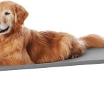 Amazon Basics Cooling Elevated Dog Bed