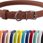 CollarDirect Rolled Leather Dog Collar