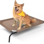 Coolaroo The Original Cooling Elevated Dog Bed