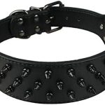 Dogs Kingdom Leather Black Spiked Studded Dog Collar