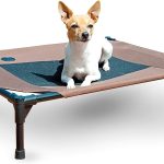 K&H Pet Products Raised Cooling Outdoor Dog Bed