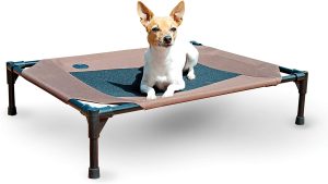 K&H Pet Products Raised Cooling Outdoor Dog Bed