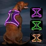 Light Up Dog Harness No Pull LED Dog Harness with Handle