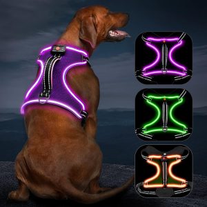 Light Up Dog Harness No Pull LED Dog Harness with Handle
