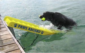 Paws Aboard Doggy Boat Ladder and Ramp
