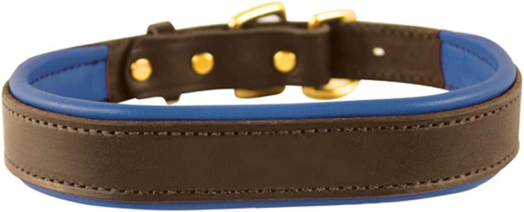 Perri's Padded Leather Dog Collars
