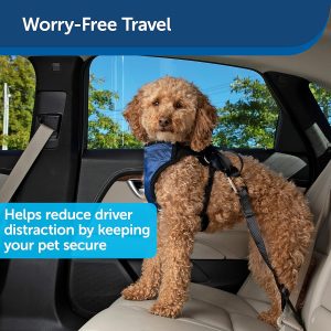 PetSafe Happy Ride Seat Belt Tether for Dogs