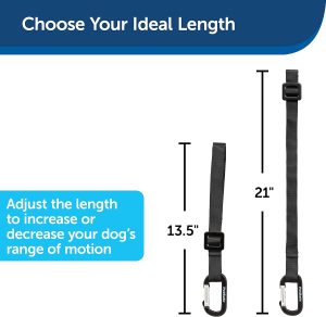 PetSafe Happy Ride Seat Belt Tether for Dogs, Adjustable Strap Keeps Pets Secure in Car