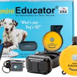 Mini Educator Dog Training e Collar