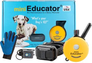 Mini Educator Dog Training e Collar