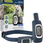 PetSafe 100 Yard Remote Training Collar