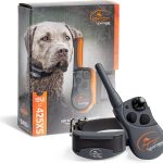 Dog Training Collar