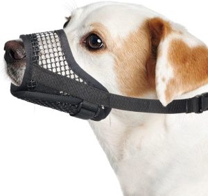 Dog Muzzle, Breathable Mesh Muzzle