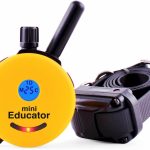 E-Collar Humane Dog Training Collar with Remote