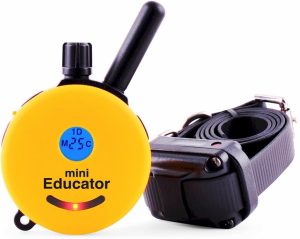 E-Collar Humane Dog Training Collar with Remote
