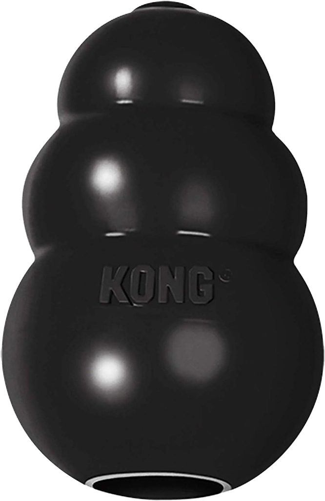 KONG - Extreme Dog Toy