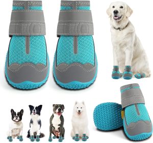 Dog Shoes for Large Dogs