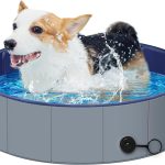 Dog Pool for Small Dogs
