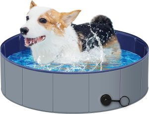 Dog Pool for Small Dogs