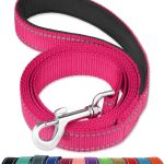 FunTags 6FT Reflective Dog Leash with Soft Padded Handle