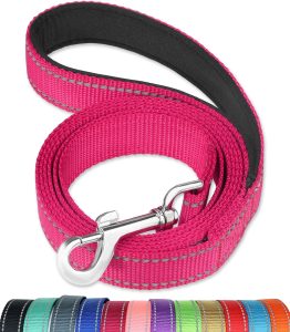 FunTags 6FT Reflective Dog Leash with Soft Padded Handle