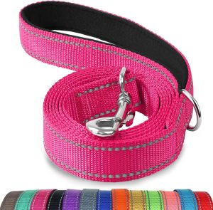 oytale Double-Sided Reflective Dog Leash