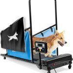 LifePro Small Dogs Treadmill