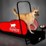 dogPACER 91641 LF 3.1 Full Size Dog Pacer Treadmill