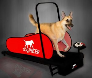 dogPACER 91641 LF 3.1 Full Size Dog Pacer Treadmill
