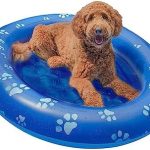 PoolCandy Inflatable Pet Float