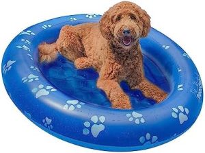 PoolCandy Inflatable Pet Float