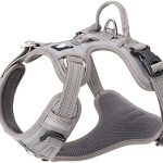 TRUE LOVE Dog Harness No Pull Nylon Reflective Pet Harness