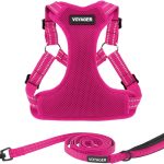 Best Pet Supplies Voyager Adjustable Dog Harness Leash Set