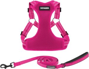 Best Pet Supplies Voyager Adjustable Dog Harness Leash Set