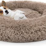 perpets Orthopedic Dog Bed