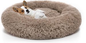 perpets Orthopedic Dog Bed