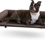 K&H Pet Products Bolster Dog Cot Cooling Indoor/Outdoor Elevated Dog Bed