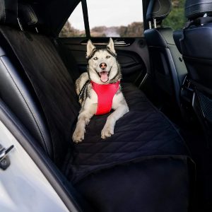 BarksBar Luxury Pet Car Seat Cover with Seat Anchors for Cars