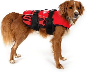 EzyDog Premium Doggy Flotation Device