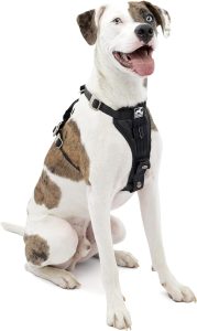 Kurgo Dog Harness