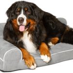 PetFusion BetterLounge Orthopedic Dog Bed