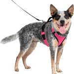 PetSafe EasySport Dog Harness