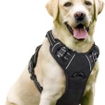 rabbitgoo Dog Harness